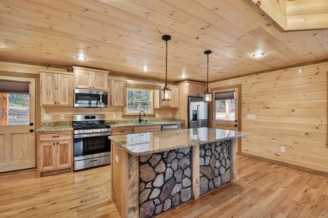 17 Dial Mountain Drive, Blue Ridge, GA 30513