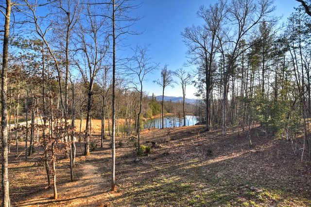 17 Dial Mountain Drive, Blue Ridge, GA 30513