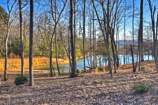 17 Dial Mountain Drive, Blue Ridge, GA 30513