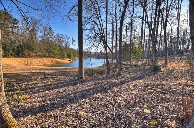 17 Dial Mountain Drive, Blue Ridge, GA 30513