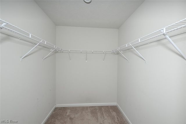 3220 Sunny Brook Drive, Akron, OH 44312