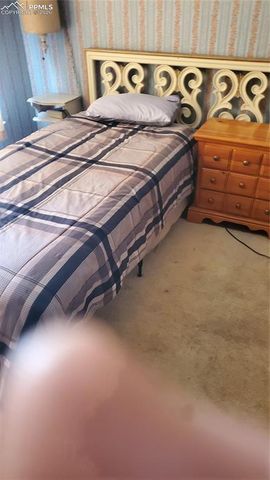 400 Victor Avenue, Victor, CO 80860