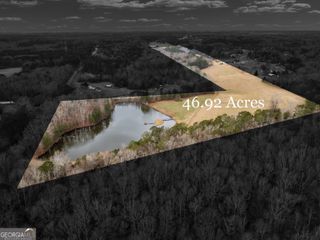 46 ACRES LAMAR COUNTY LINE Road, Griffin, GA 30224