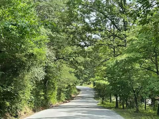 23188 Farm Road 1245, Shell Knob, MO 65747