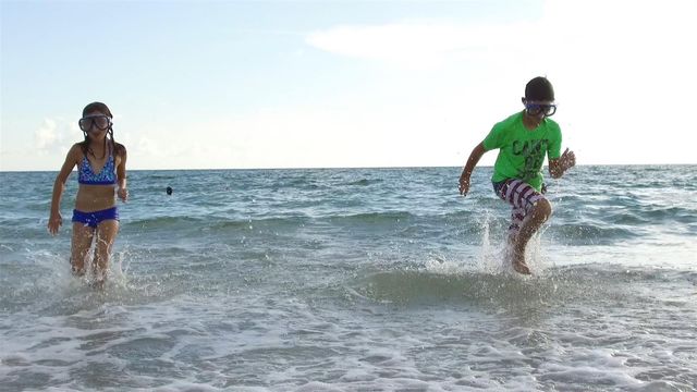 6115 SHEARWATER DRIVE, Englewood, FL 34224