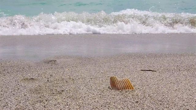 6115 SHEARWATER DRIVE, Englewood, FL 34224