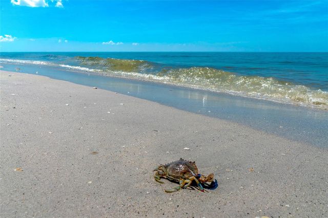 6115 SHEARWATER DRIVE, Englewood, FL 34224