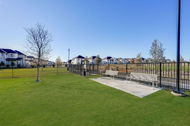 1133 Beebalm Mews, Celina, TX 75009