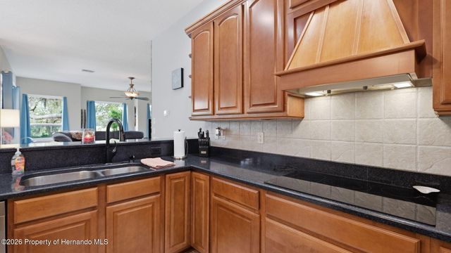10400 Ramble Ridge Court, Weeki Wachee, FL 34613