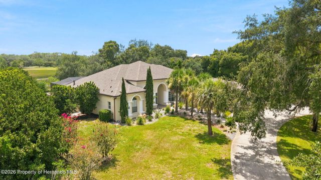 10400 Ramble Ridge Court, Weeki Wachee, FL 34613