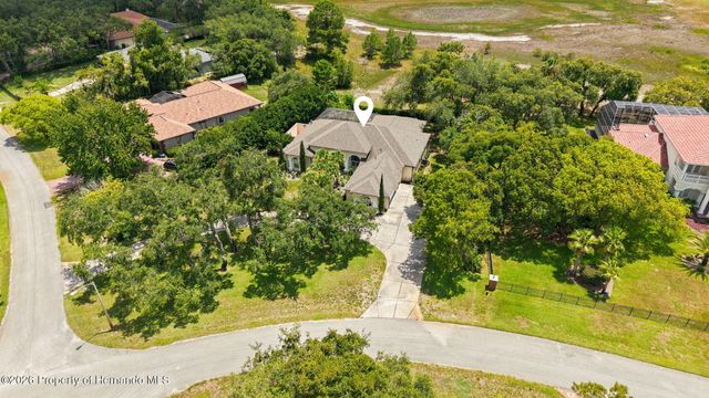 10400 Ramble Ridge Court, Weeki Wachee, FL 34613