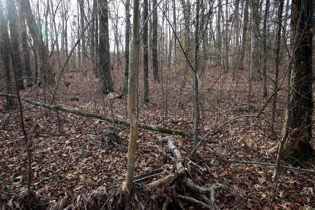 4623 Cash Mountain Road, Malvern, AR 72104