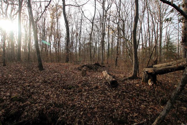 4623 Cash Mountain Road, Malvern, AR 72104