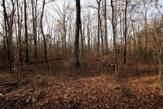 4623 Cash Mountain Road, Malvern, AR 72104