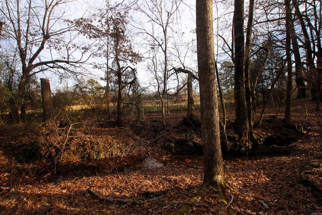 4623 Cash Mountain Road, Malvern, AR 72104