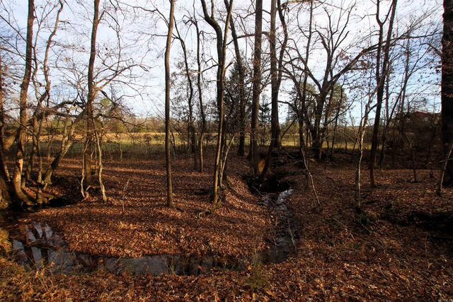 4623 Cash Mountain Road, Malvern, AR 72104