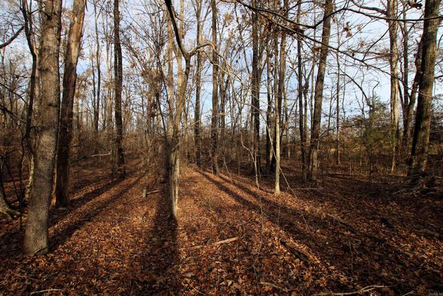 4623 Cash Mountain Road, Malvern, AR 72104