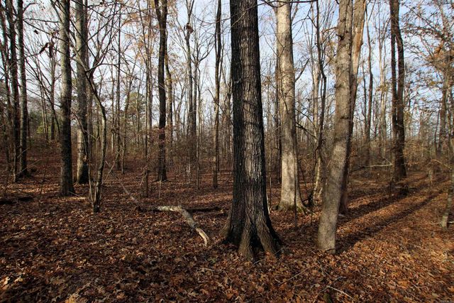 4623 Cash Mountain Road, Malvern, AR 72104