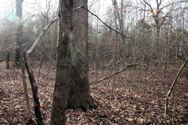 4623 Cash Mountain Road, Malvern, AR 72104