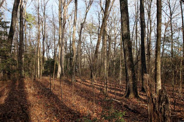 4623 Cash Mountain Road, Malvern, AR 72104