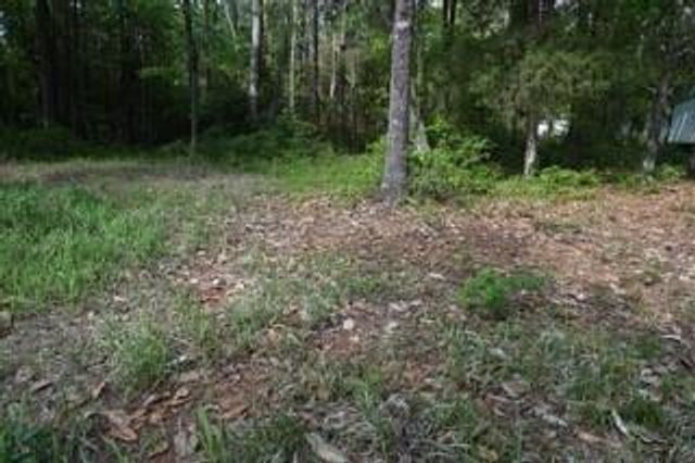 9176 Chunchula-Georgetown Road, Chunchula, AL 36521