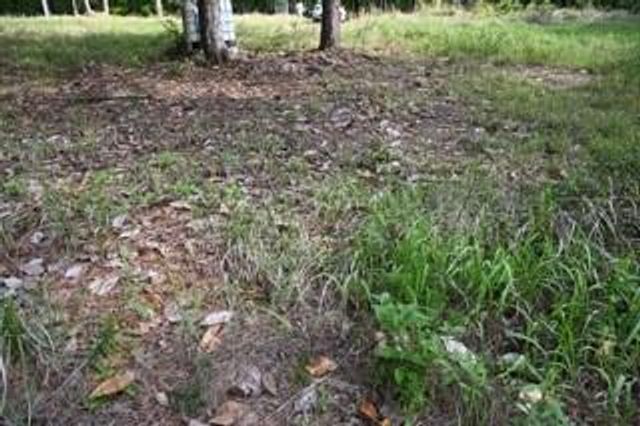 9176 Chunchula-Georgetown Road, Chunchula, AL 36521