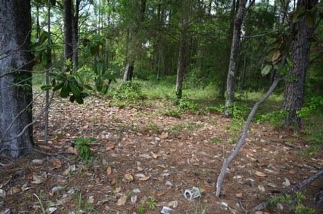 9176 Chunchula-Georgetown Road, Chunchula, AL 36521