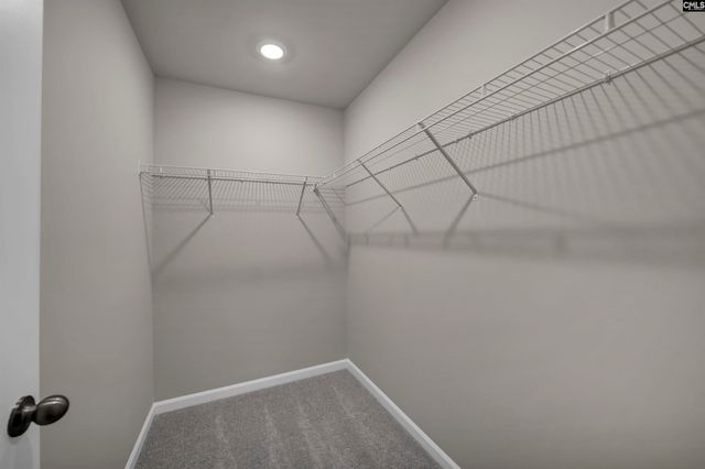 146 Winding Chestnut Drive, Columbia, SC 29212