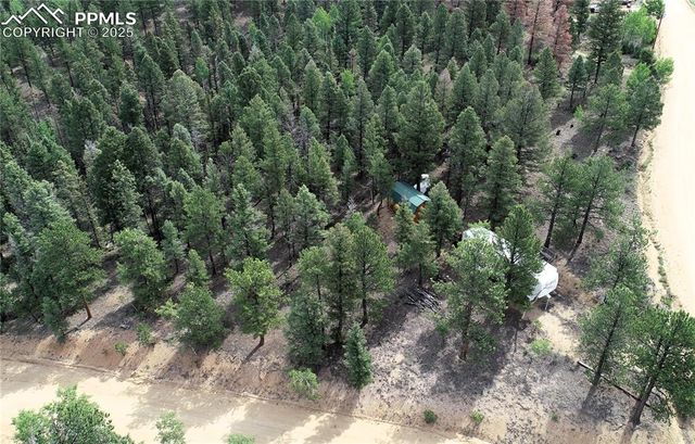 223 Shavano Creek Trail, Florissant, CO 80816