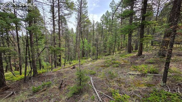223 Shavano Creek Trail, Florissant, CO 80816