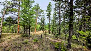223 Shavano Creek Trail, Florissant, CO 80816