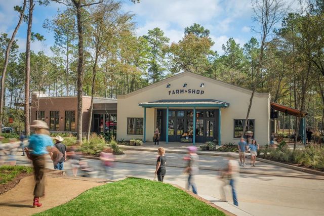 9018 Babbling Brook Drive, Montgomery, TX 77316