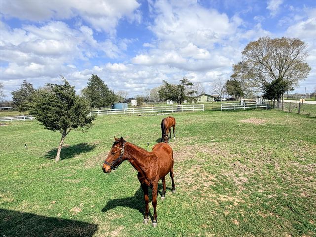 13700 Burnett Road, Beasley, TX 77417