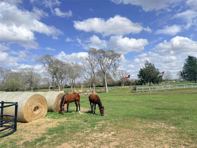 13700 Burnett Road, Beasley, TX 77417