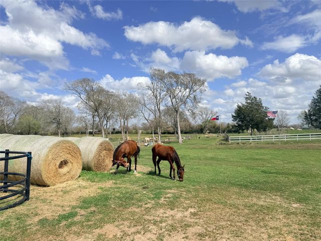 13700 Burnett Road, Beasley, TX 77417