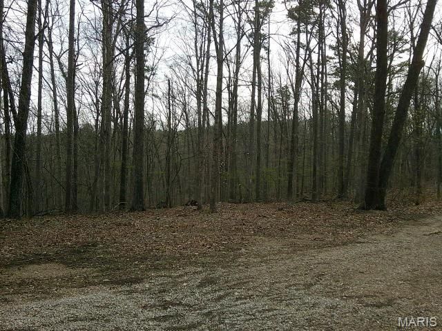 0000000 W Highway 8, Potosi, MO 63664