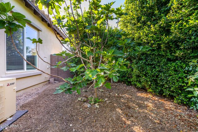 23307 N 97TH Drive, Peoria, AZ 85383