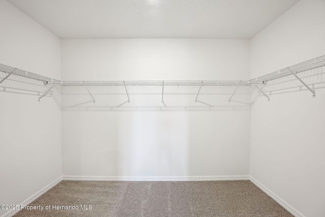 31600 MALBEC Drive, Brooksville, FL 34602