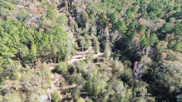 TBD Fm 1280 East, Lovelady, TX 75851