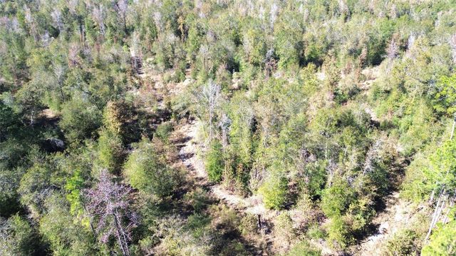 TBD Fm 1280 East, Lovelady, TX 75851