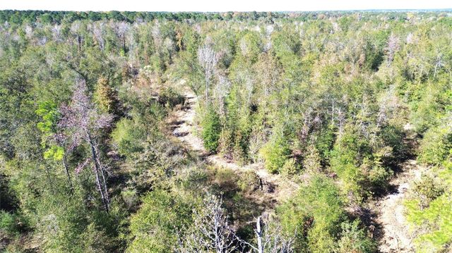 TBD Fm 1280 East, Lovelady, TX 75851