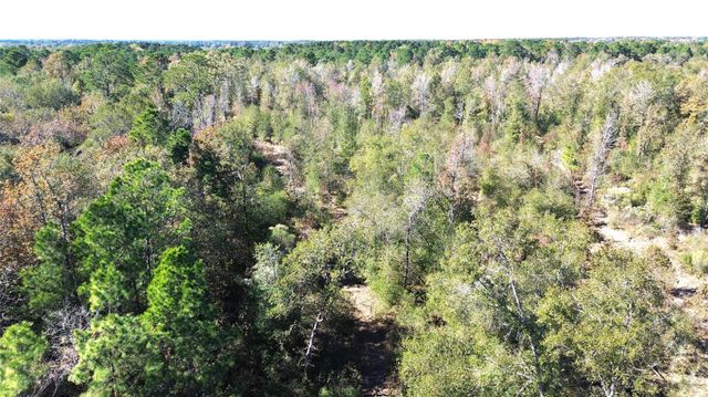 TBD Fm 1280 East, Lovelady, TX 75851