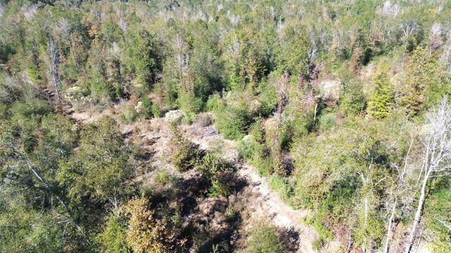 TBD Fm 1280 East, Lovelady, TX 75851