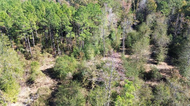 TBD Fm 1280 East, Lovelady, TX 75851