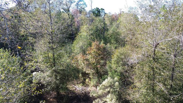 TBD Fm 1280 East, Lovelady, TX 75851