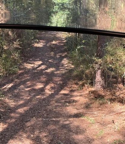 TBD Fm 1280 East, Lovelady, TX 75851