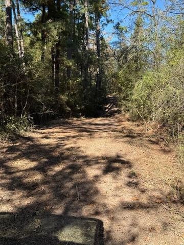 TBD Fm 1280 East, Lovelady, TX 75851