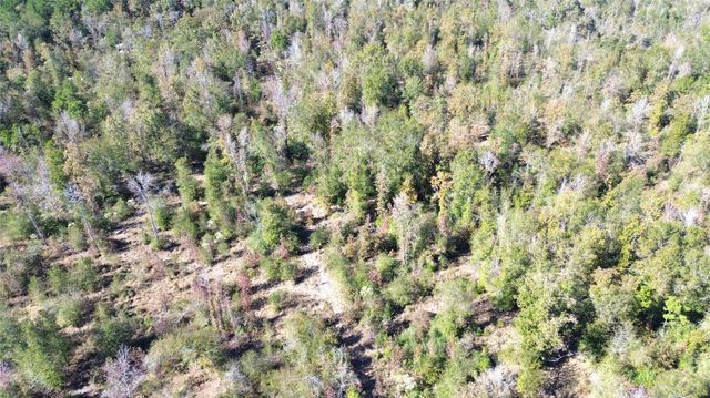 TBD Fm 1280 East, Lovelady, TX 75851