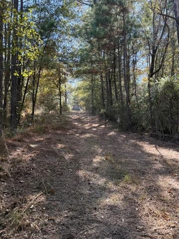 TBD Fm 1280 East, Lovelady, TX 75851