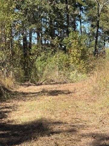 TBD Fm 1280 East, Lovelady, TX 75851